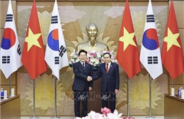 Chủ tịch Quốc hội Trần Thanh Mẫn hội kiến Tổng thống Hàn Quốc Lee Jae Myung