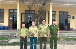 Hạt Kiểm lâm khu vực Bình Gia vừa tiếp nhận cá thể cu ly quý hiếm