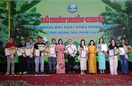 Đồng Nai xuất khẩu 220 tấn chuối ra các thị trường quốc tế