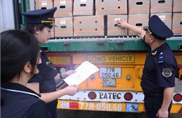 Hải quan phát hiện gần 8.900 vụ vi phạm, buôn lậu gia tăng qua mạng