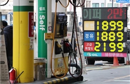 Nhiều quốc gia triển khai biện pháp ứng phó khủng hoảng năng lượng