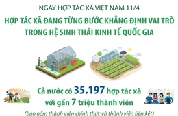 Hợp tác xã đang từng bước khẳng định vai trò trong hệ sinh thái kinh tế quốc gia