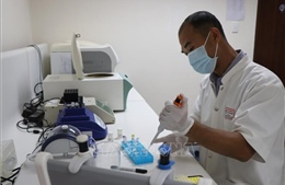 Dẫn dòng 'chất xám' về Cố đô: 'Trải thảm đỏ' thu hút nhân tài