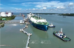 Điểm tin kinh tế Việt Nam nổi bật ngày 29/4/2026