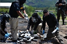 Bắt giữ, dẫn độ trùm ma túy quốc tế từ Colombia về Bỉ