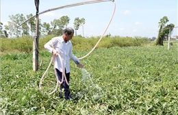 Giảm độ mặn trên nhiều sông ngòi tại Đồng Nai