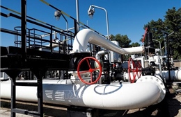 Nga sẵn sàng tăng mạnh nguồn cung dầu và LNG cho Ấn Độ