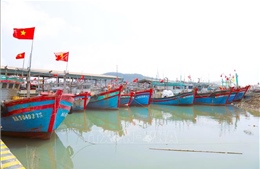 Nghệ An có 5 khu neo đậu tránh trú bão cho tàu cá đủ điều kiện hoạt động
