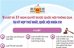 Thông tin về 9 luật và 31 nghị quyết được Quốc hội thông qua tại Kỳ họp thứ nhất, Quốc hội khóa XVI