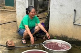 Thanh Hóa: Khẩn trương xử lý tình trạng ô nhiễm nguồn nước khiến người dân bức xúc