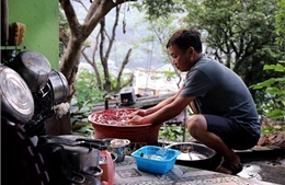 Người dân ven hồ Hòa Bình 'khát nước sạch'