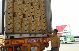 Xuất khẩu lô sầu riêng đầu tiên theo 'luồng xanh' qua cửa khẩu Hữu Nghị