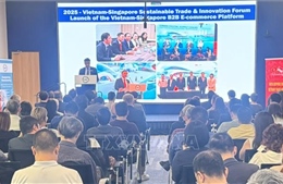 Việt Nam - Singapore thúc đẩy hợp tác kinh tế xanh và thương mại bền vững