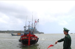 Khắc phục 'thẻ vàng' IUU: Tăng nặng chế tài xử phạt, bịt 'kẽ hở' trong chuỗi khai thác