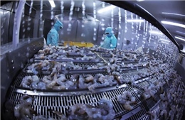 Điểm tin kinh tế Việt Nam nổi bật ngày 20/4/2026