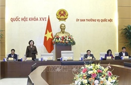 Phiên họp Ủy ban Thường vụ Quốc hội: Rà soát quy định ngưỡng doanh thu miễn thuế với hộ kinh doanh