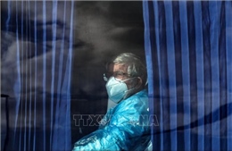 Virus Hanta: Pháp áp dụng kinh nghiệm đối phó COVID-19 trong kiểm soát lây lan