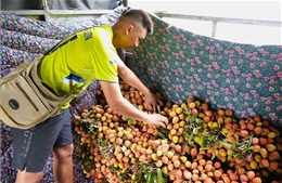 Điểm tin kinh tế Việt Nam nổi bật ngày 28/5/2026