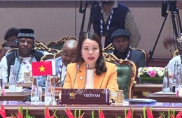 Việt Nam sẵn sàng thúc đẩy kết nối BRICS với khu vực châu Á - Thái Bình Dương