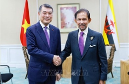Tăng cường quan hệ hữu nghị và hợp tác Việt Nam với các nước ASEAN và Ngân hàng ADB