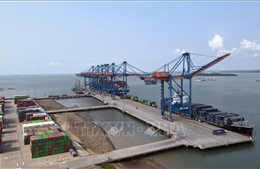 Cảng biển TP Hồ Chí Minh tiến nhanh lộ trình 'xanh hóa'