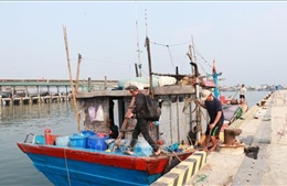 Ngư dân nỗ lực vươn khơi trước khó khăn 'kép'