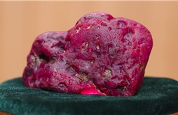 Phát hiện viên ruby khổng lồ tại 'thánh địa đá quý' Mogok