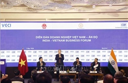 Tổng Bí thư, Chủ tịch nước Tô Lâm dự Diễn đàn doanh nghiệp Việt Nam - Ấn Độ