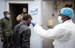 Dịch Ebola: Ấn Độ hoãn hội nghị thượng đỉnh châu Phi