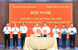 Tuyên Quang - Thái Nguyên: Chung mạch nguồn, cùng khát vọng