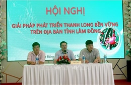 Lâm Đồng: Tìm giải pháp tăng chất lượng thanh long xuất khẩu