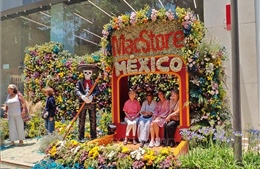 Mexico biến trung tâm thủ đô thành 'bảo tàng hoa' khổng lồ