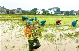 Mưa lớn làm 1 người bị thương và nhiều thiệt hại tại các địa phương