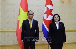Bộ trưởng Bộ Ngoại giao Lê Hoài Trung thăm Triều Tiên