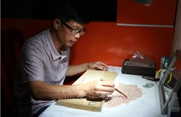 Biến đất cằn thành 'mỏ ngọc' nhờ áp dụng khoa học kỹ thuật
