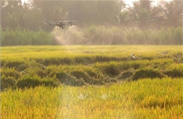 Nghị quyết 68: Để thương hiệu Việt Nam tham gia sâu hơn vào thị trường khu vực và toàn cầu