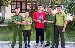 Quảng Ngãi: Tiếp nhận 2 cá thể rùa quý hiếm từ người dân
