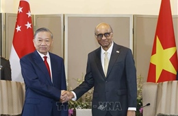 Tổng Bí thư, Chủ tịch nước Tô Lâm hội đàm với Tổng thống Singapore Tharman Shanmugaratnam