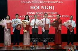 Sơn La kiện toàn một số chức danh lãnh đạo sở, ngành