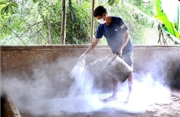 Kế hoạch quốc gia phòng, chống các bệnh Cúm gia cầm, Lở mồm long móng và Dịch tả lợn Châu Phi