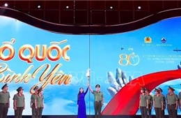 'Tổ quốc bình yên' thắp sáng sông Hàn