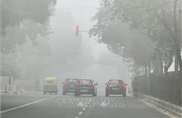 Thủ đô Ấn Độ mạnh tay loại bỏ xe cũ, cải thiện chất lượng không khí