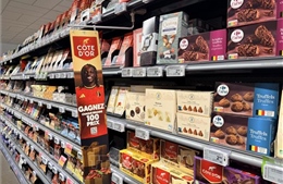 World Cup 2026: Các nhà bán lẻ Bỉ kỳ vọng 'ăn theo' sức nóng của Quỷ đỏ