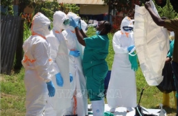 Khoảng 500 ca mắc virus Ebola được xác nhận ở Trung Phi