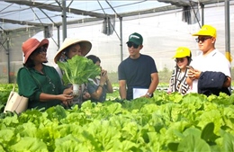 Nửa thế kỷ kiến tạo nền nông nghiệp công nghệ cao - Bài 1: Cuộc chuyển đổi chiến lược