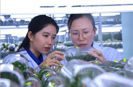 Nửa thế kỷ kiến tạo nền nông nghiệp công nghệ cao - Bài cuối: Kiến tạo trung tâm đổi mới sáng tạo nông nghiệp