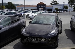 Thụy Điển phản đối quyết định của EU phê duyệt hệ thống hỗ trợ lái FSD của Tesla