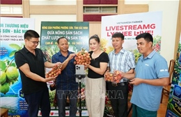 Khai thác tiềm năng, mở rộng không gian tăng trưởng kinh tế số