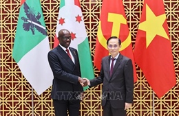 Tăng cường quan hệ đoàn kết, hợp tác song phương Việt Nam - Burundi