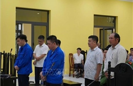 Lĩnh án tù vì nhận tiền đăng ký, đăng kiểm tàu cá trái phép